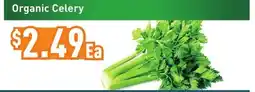 Healthy Planet Organic Celery offer