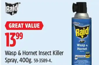 Canadian Tire Raid Wasp & Hornet Insect Killer Spray, 400g offer