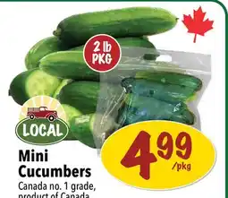 Farm Boy Mini Cucumbers offer