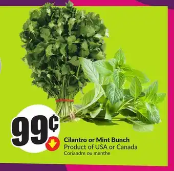 Chalo FreshCo Cilantro or Mint Bunch Product of USA or Canada offer