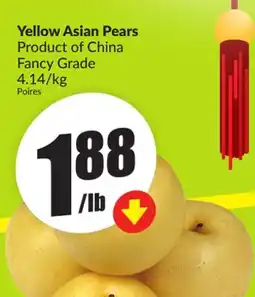 Chalo FreshCo Yellow Asian Pears Product of China Fancy Grade 4.14/kg offer