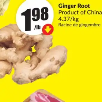 Chalo FreshCo Ginger Root offer