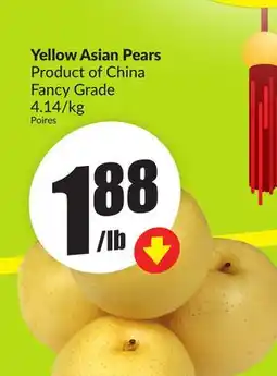 FreshCo Yellow Asian Pears Product Of China Fancy Grade 4.14/kg offer