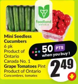 FreshCo Mini Seedless Cucumbers 6 pk Product of Ontario canada No 1 Grape Tomatoes Pint Product of Ontario offer