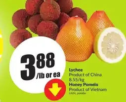 FreshCo Lychee Product Of China 8.55/ kg Honey Pomelo Product Of Vietnam offer