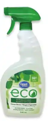 Walmart Great Value Eco Toilet Bowl Cleaner offer