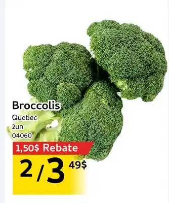 Mayrand Broccolis offer