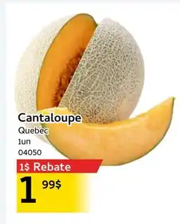Mayrand Cantaloupe offer