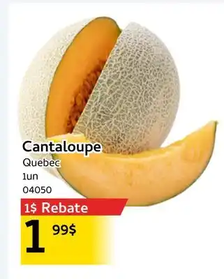 Mayrand Cantaloupe offer