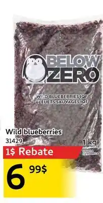 Mayrand Below Zero Wild blueberries offer
