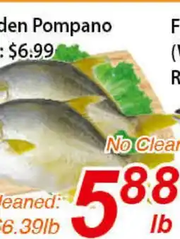 Golden pompano