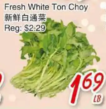 Foody Mart FRESH WHITE TON CHOY offer