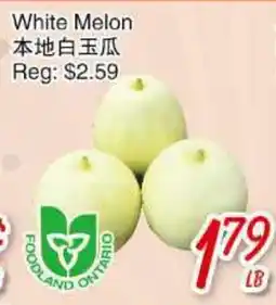 WHITE MELON