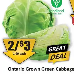 Starsky Ontario Grown Green Cabbage offer