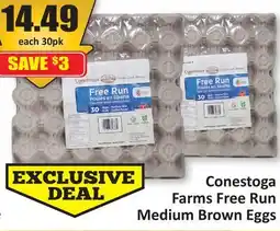 Conestoga Farms Free Run Medium Brown Eggs