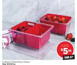 Kitchen Stuff Plus Fridgestor Basket Berry Keeper offer