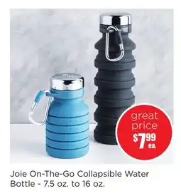 Kitchen Stuff Plus Joie On-The-Go Collapsible Water Bottle offer