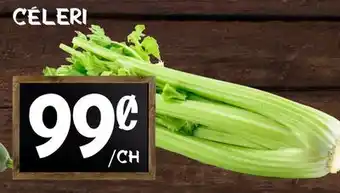 Marche Salaberry Céleri offer