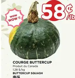 Kim Phat BUTTERCUP SQUASH offer
