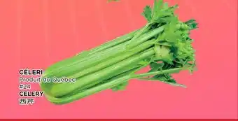 Kim Phat CELERY offer