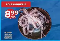 Kim Phat OCTOPUS offer