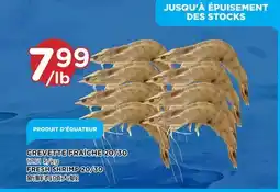 Kim Phat FRESH SHRIMP 20/30 offer