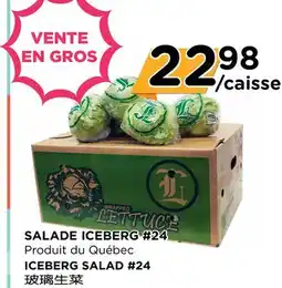 ICEBERG SALAD #24
