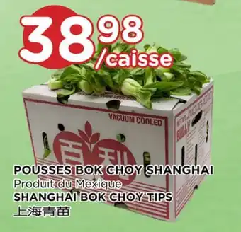 Kim Phat SHANGHAI BOK CHOY TIPS offer