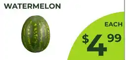 Food World Supermarket WATERMELON offer