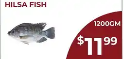 Food World Supermarket HILSA FISH offer