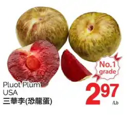 T&T Supermarket PLUOT PLUM offer