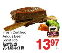 T&T Supermarket FRESH CERTIFIED ANGUS BEEF SHORT RIB offer