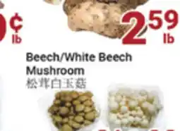 Oceans Fresh Food Market Beach/White Beech Mushroom offer