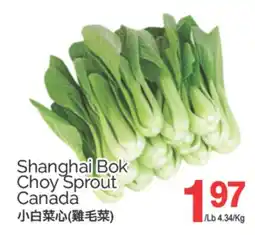 T&T Supermarket SHANGHAI BOK CHOY SPROUT offer