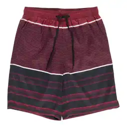 Giant Tiger ACX Active Men's Drawstring Swim Trunks offer