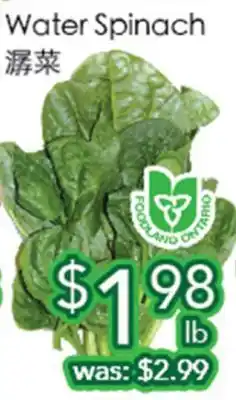 Ample Food Market Water Spinach offer