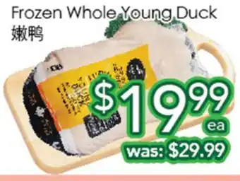 Ample Food Market Frozen Whole Young Duck offer