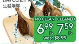 Ample Food Market Live Conch offer