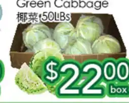 Ample Food Market Green Cabbage offer