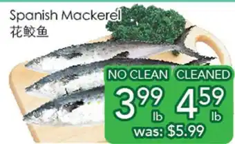 Ample Food Market Spanish Mackerel offer