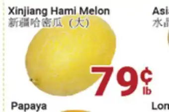 Oceans Fresh Food Market Xinjiang Hami Melon offer