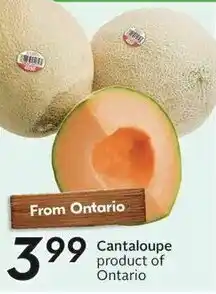 Sobeys Cantaloupe offer
