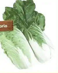 Sobeys Bok Choy or Napa Cabbage offer