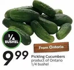 Sobeys Pickling Cucumbers offer