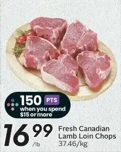 Sobeys Fresh Canadian Lamb Loin Chops offer