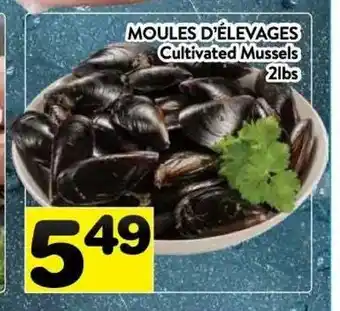 Supermarché PA Cultivated Mussels offer
