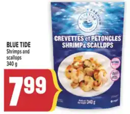 Marché Adonis BLUE TIDE Shrimps and scallops offer