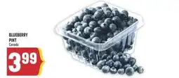 Marché Adonis BLUEBERRY PINT offer