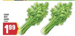 Marché Adonis CELERY WITH LEAVES offer