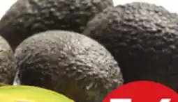 Giant Tiger 5-6 pack avocados offer